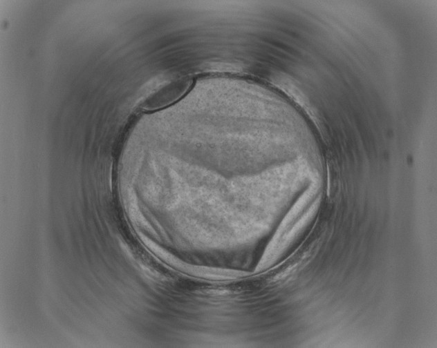 X0000088370253200706191250