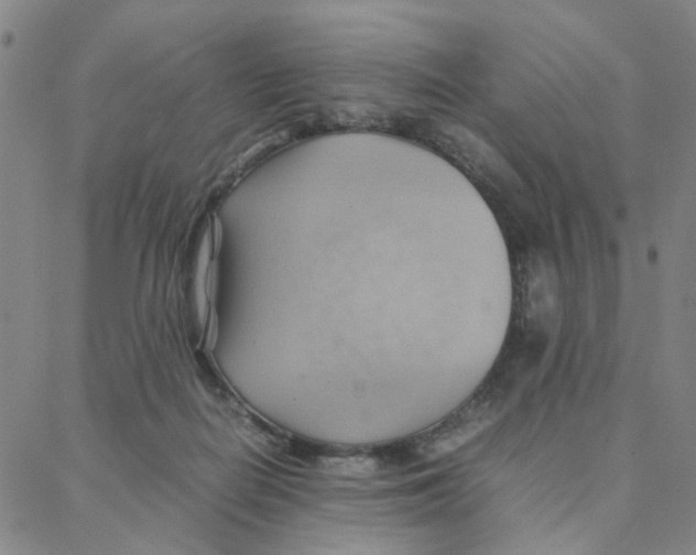 X0000088370266200706191250