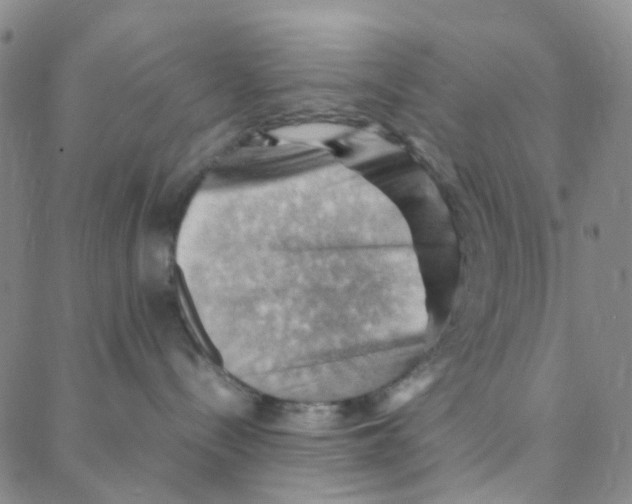 X0000088370288200706191251