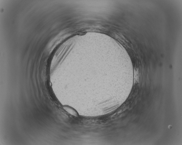 X0000088370291200706191250