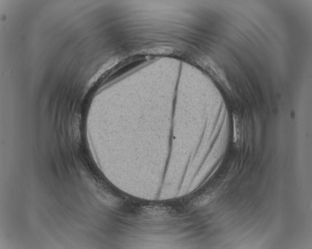 X0000088370300200706191250
