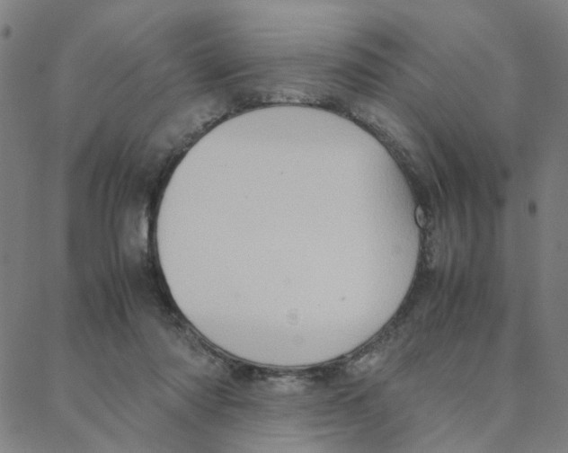 X0000088370310200706191250