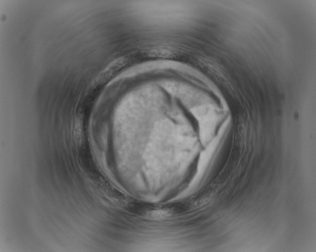 X0000088370312200706191249
