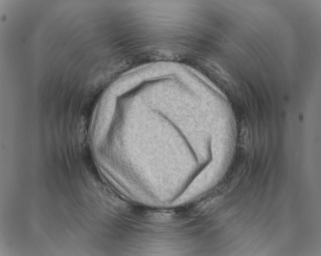 X0000088370318200706191249