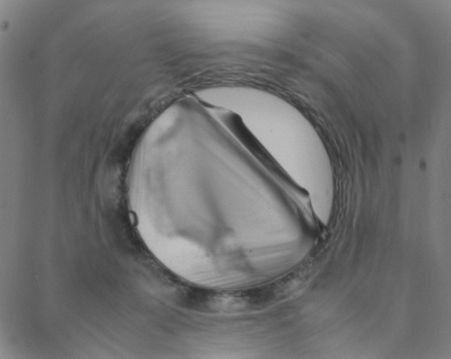 X0000088370319200706191249