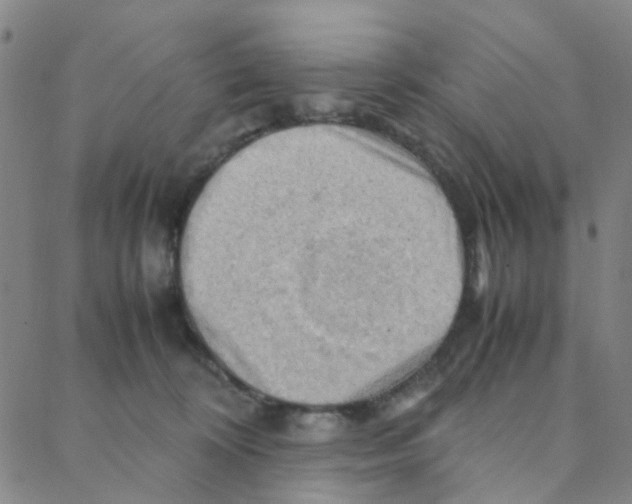 X0000088370324200706191249
