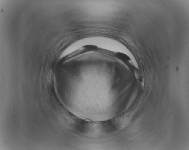 X0000088370325200706191249