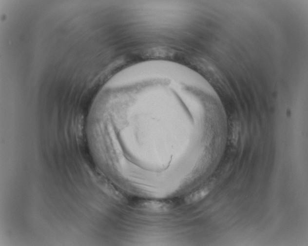 X0000088370326200706191249