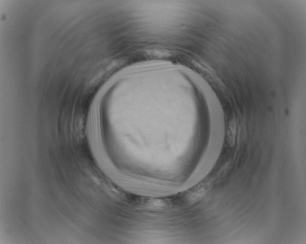 X0000088370330200706191249