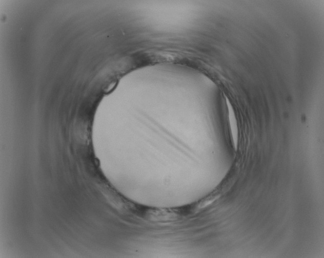 X0000088370331200706191249