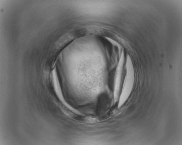 X0000088370333200706191249
