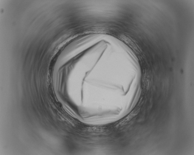 X0000088370338200706191248