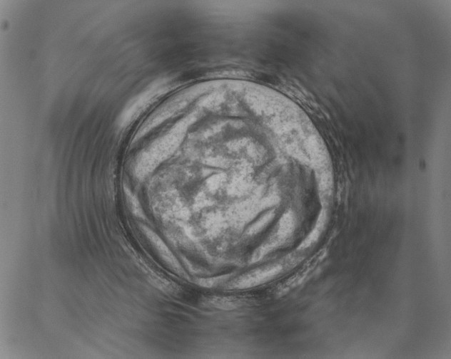 X0000088370341200706191248