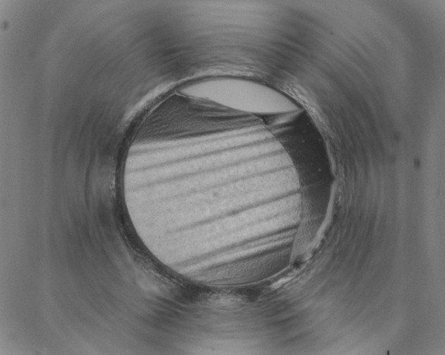 X0000088370348200706191248