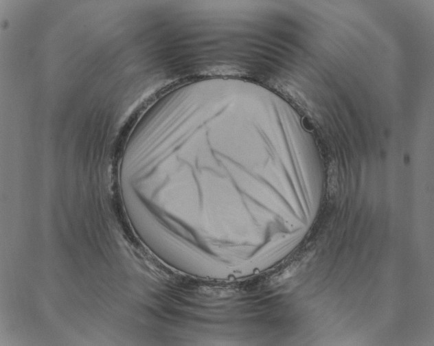 X0000088370351200706191249