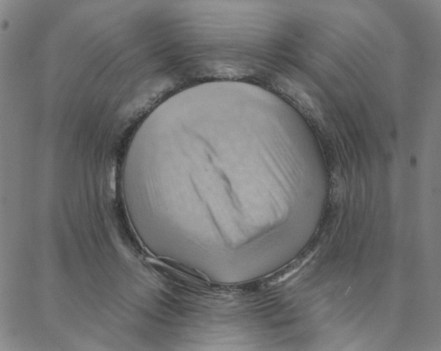 X0000088370358200706191249