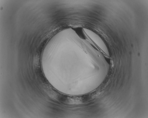 X0000088370359200706191249