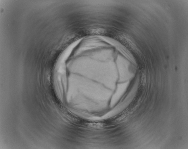X0000088370363200706191249