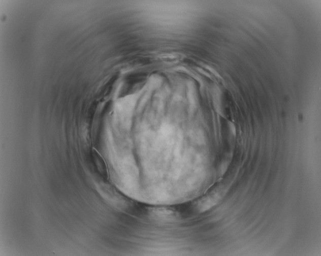 X0000088370380200706191249