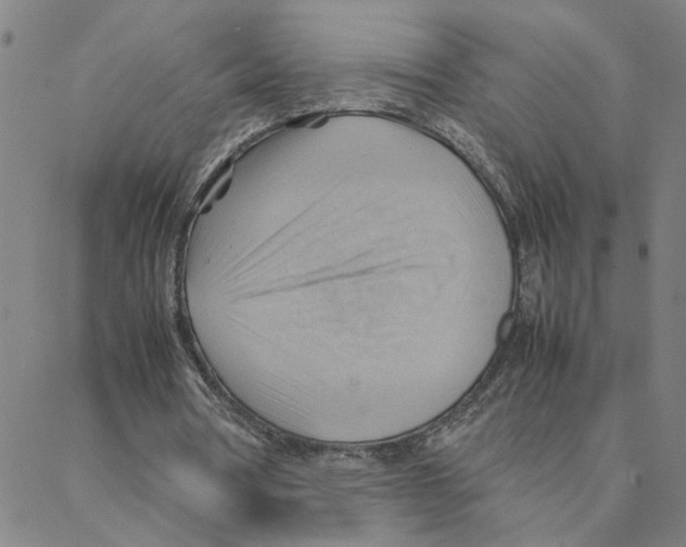 X0000088370386200706191248