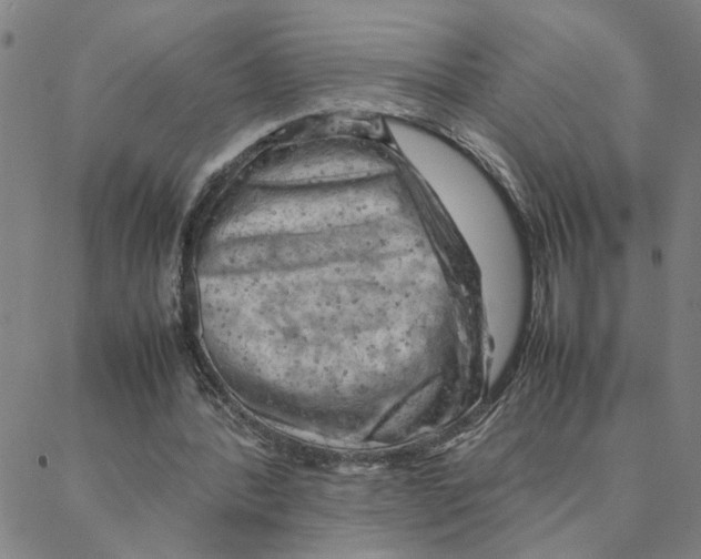 X0000088370388200706191248
