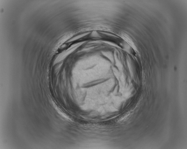 X0000088370389200706191248