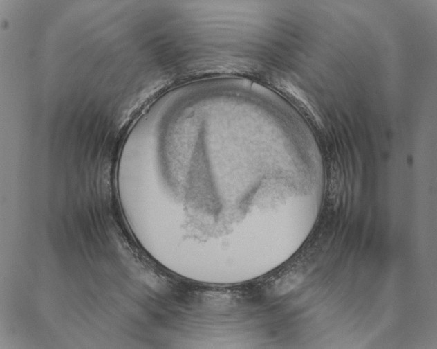 X0000088370394200706191248