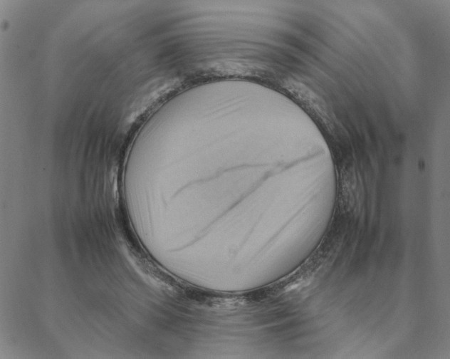 X0000088370398200706191248