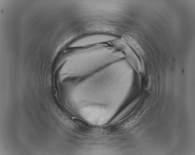 X0000088370399200706191248