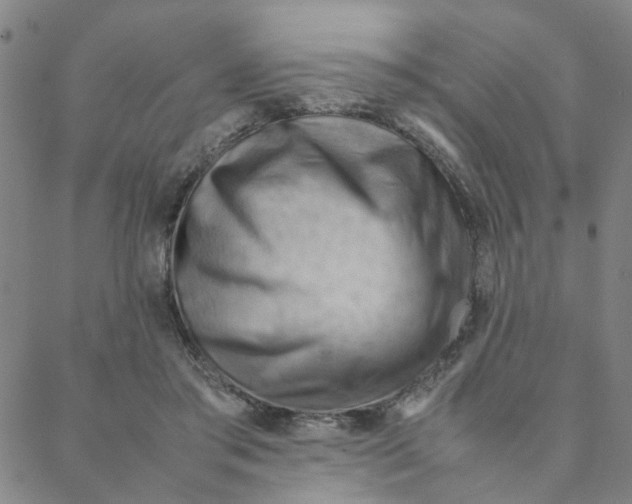X0000088370405200706191248