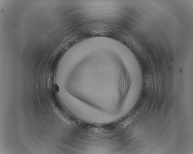 X0000088370408200706191248