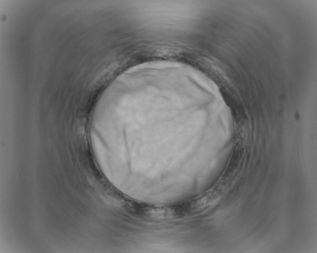 X0000088370415200706191248