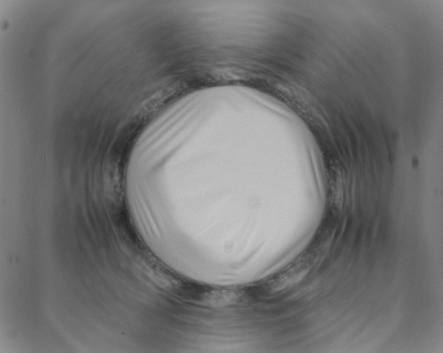 X0000088370418200706191248