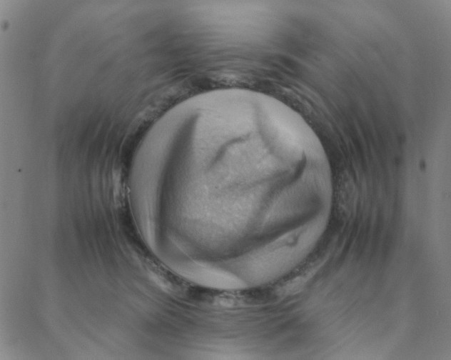 X0000088370420200706191248