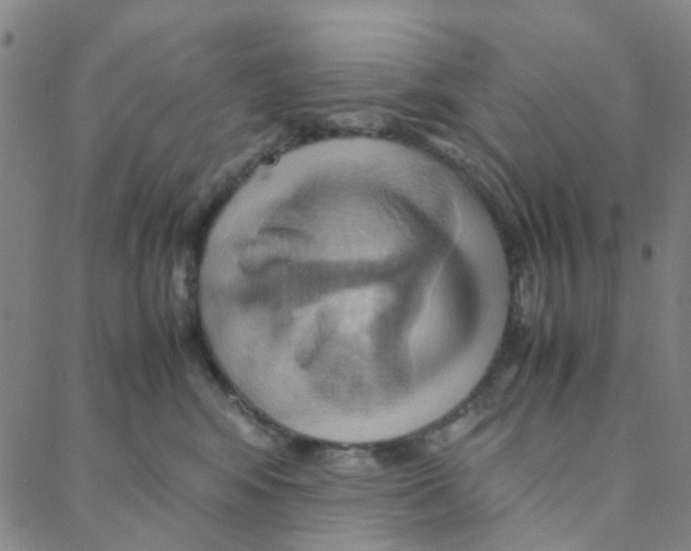 X0000088370424200706191248