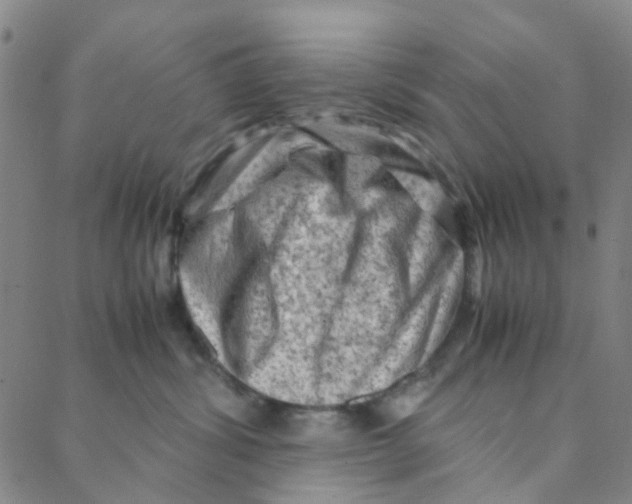 X0000088370428200706191248