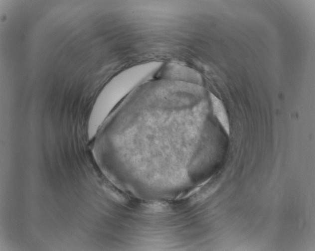 X0000088370432200706191248