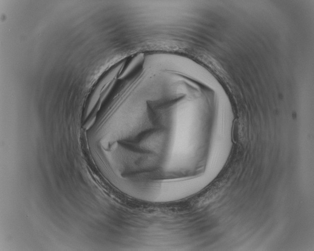 X0000088370434200706191247
