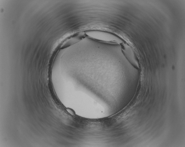 X0000088370438200706191247