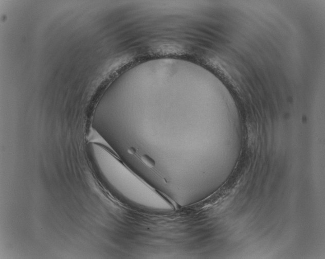 X0000088370447200706191247