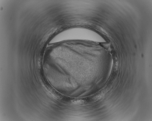 X0000088370452200706191247