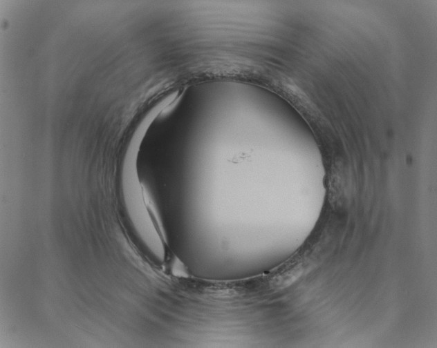 X0000088370454200706191247