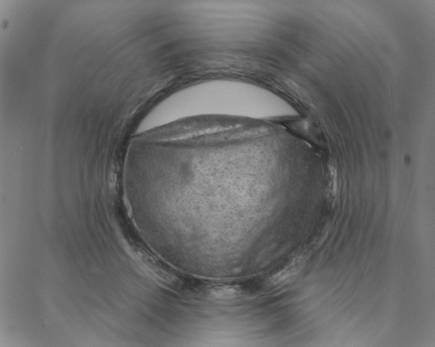 X0000088370456200706191247