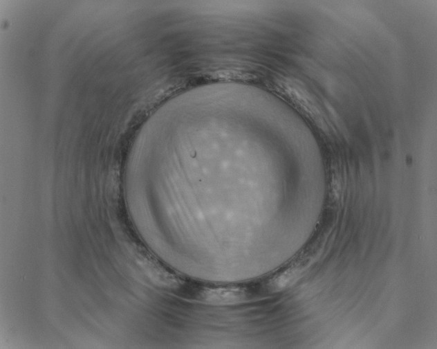 X0000088370461200706191247