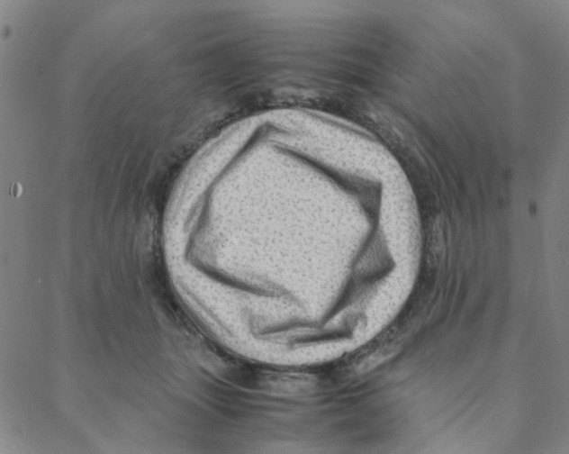 X0000088370463200706191247