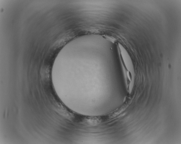 X0000088370466200706191247