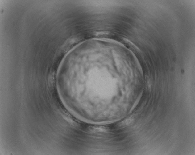 X0000088370475200706191247
