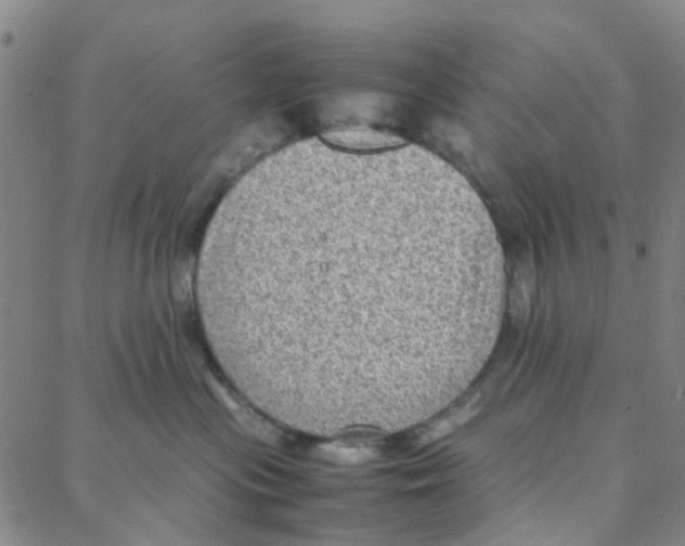 X0000088370477200706191247