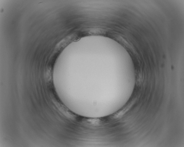 X0000088370478200706191247