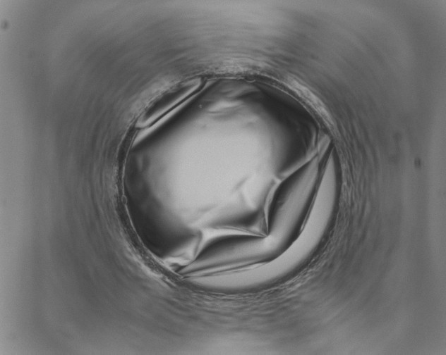 X0000088370485200706191247